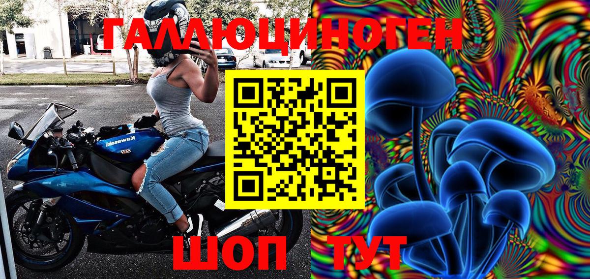 Кинешма  Псилоцибиновые грибы GOLDEN TEACHER  Вход с VPN 