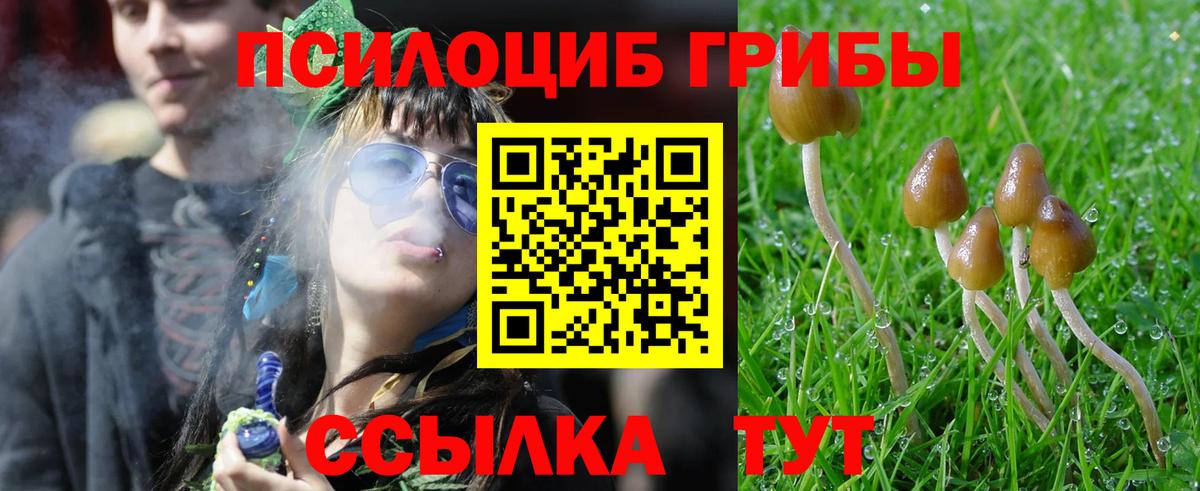 Галлюциногенные грибы MAGIC MUSHROOMS Кинешма